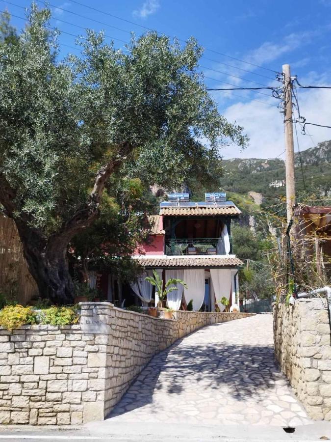 Eleni'S Guesthouse パレオカストリッツア エクステリア 写真